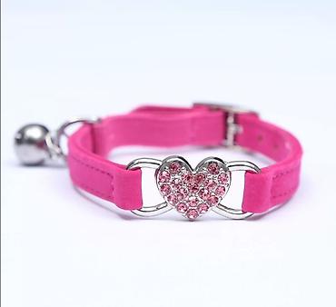 Зоотовары: ПРОДАЮ ПАРОВЫЕ МАШИНКИ ДЛЯ ВЫЧЕСЫВАНИЯ КОШЕК И СОБАК,А ТАК ЖЕ — 12