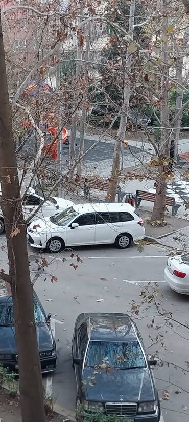 Toyota: Toyota Corolla: 1.5 l | 2020 il Universal — 15