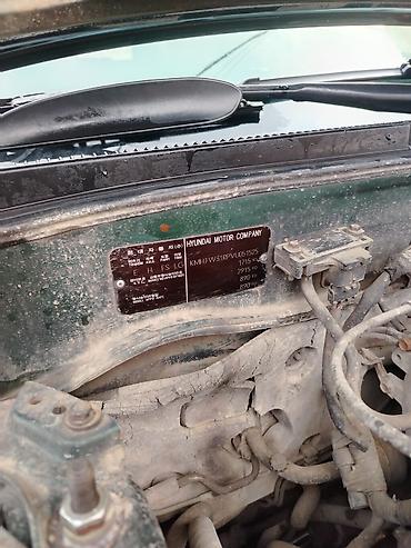 Hyundai: Hyundai Elantra: 1.6 l | 1997 il Universal — 11