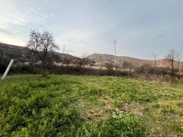 Torpaq sahələrinin satışı: 20 sot, Kupça (Çıxarış) — 3