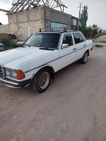 ли 9 авто: Mercedes-Benz W123: 1980 г., 2.3 л, Механика, Дизель, Седан — 2