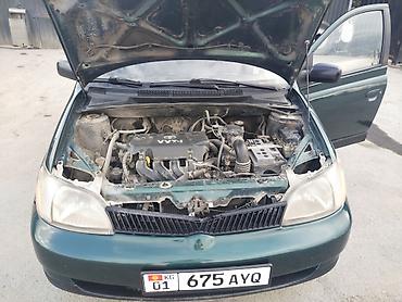 toyota echo 2000: Toyota Echo: 2000 г., 1.5 л, Автомат, Бензин, Седан — 8