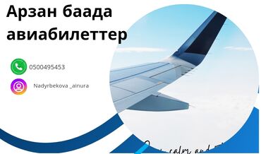 сдается квартира аламедин 1: Бардык багыттарга арзан баада авиабилеттер сатылат суроолор учун