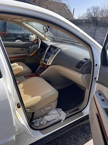 Lexus: Lexus RX: 2003 г., 3.3 л, Автомат, Бензин — 9