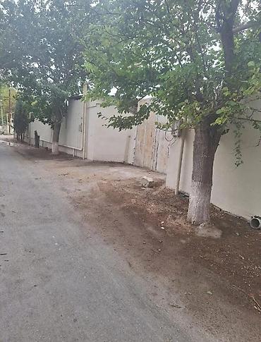 əmlak ev alqı satqısı: Torpaq sahələrinin satışı — 10