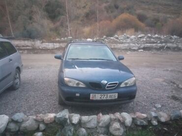 нисан тина: Nissan Primera: 2000 г., 1.8 л, Механика, Бензин, Универсал