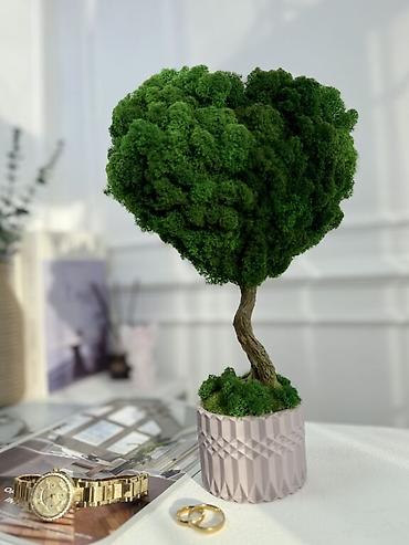 Другой декор и предметы интерьера: Декоративное дерево бонсай, выполненное из стабилизированного мха — 9
