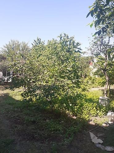 cıxarış nədir: 7 sot, Kupça (Çıxarış) — 3