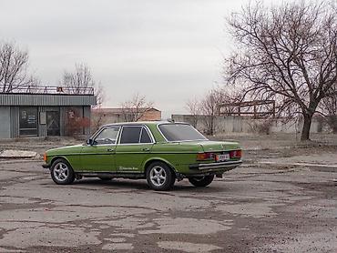 Mercedes-Benz: Mercedes-Benz W123: 1982 г., 3 л, Механика, Дизель, Седан — 10