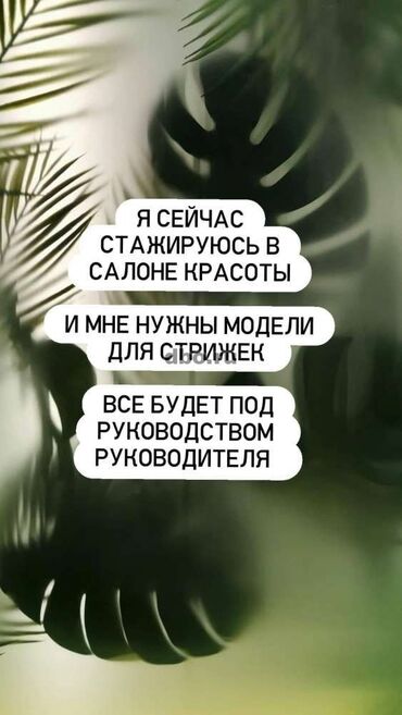 здаю салон красоты: Парикмахер, Покраска, Стрижки, Укладка, Требуются модели