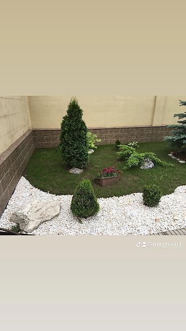 Уборка территории: Уборка территории, Стрижка газона — 2