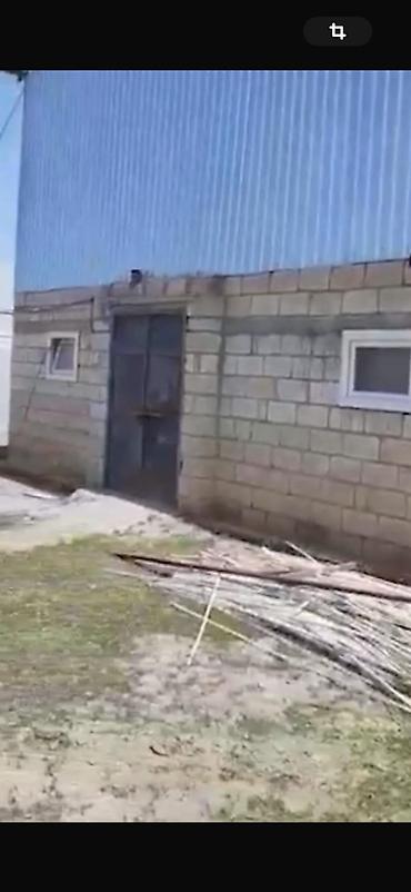 аренда квартира: Sabirabad rayonu, Bakl Sabirabad maqistral yolun üstündə, bir hektar — 6