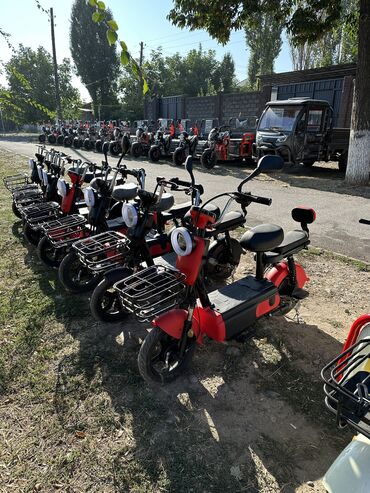 Скутеры: Веломопед 500 куб. см, Электро, Новый — 3