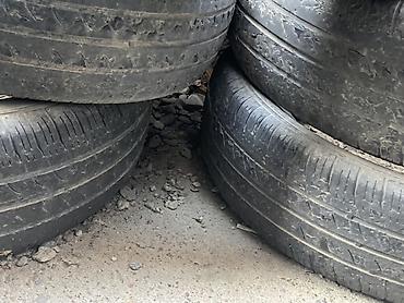 Шины: Летние шины 175/65 R14 86T (Extra Load) - Тип: легковые летние - — 2