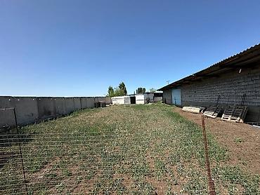 ферма скотник: Farm КРС, 90 соток, С оборудованием, Электричество, Канализация, Отопление — 6