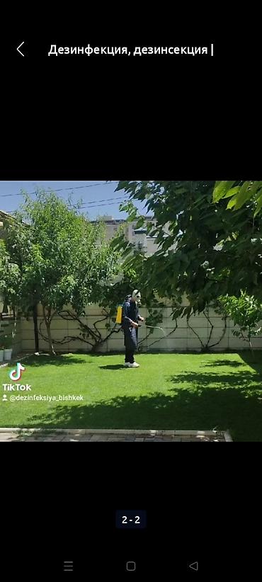 Дезинфекция, дезинсекция: Дезинфекция, дезинсекция, | Клопы, Блохи, Тараканы, | Транспорт, Офисы, Квартиры at lalafo.kg — 10 Дезинфекция, дезинсекция: Дезинфекция, дезинсекция, | Клопы, Блохи, Тараканы, | Транспорт, Офисы, Квартиры — 10
