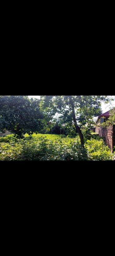 Həyət evləri və villaların satışı: 4 otaqlı, 100 kv. m, Orta təmir -da lalafo.az — 9 Həyət evləri və villaların satışı: 4 otaqlı, 100 kv. m, Orta təmir — 9