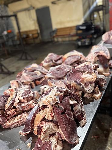 продаю мясо кролика: Болук кунаажын эти 800сом наличка — 2