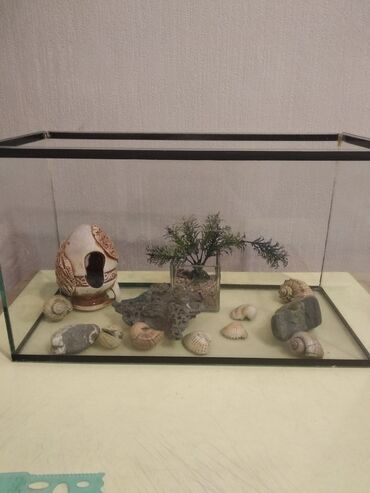 аквариум и рыбки: Аквариум(20л. ), + домик для сомтков ракушки