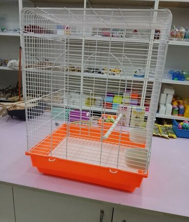 Qəfəslər: Her nov her qiymete qefesler var satisda maraqlamaq isdeyen elaqe -da lalafo.az — 7 Qəfəslər: Her nov her qiymete qefesler var satisda maraqlamaq isdeyen elaqe — 7