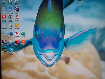 Мониторы: Монитор, LG, Б/у, LCD, 17" - 18" — 17