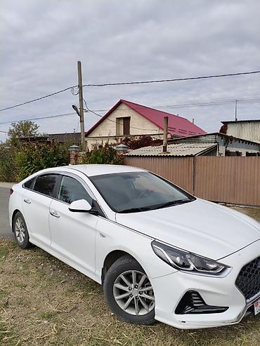 hunda: Hyundai Sonata: 2023 г., 2 л, Автомат, Газ, Седан — 6
