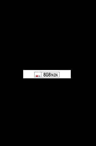 jetta 2: Номерной знак для автомобиля с надписью «808NIN». - Прямоугольная — 1