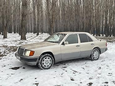 Mercedes-Benz: Mercedes-Benz W124: 1991 г., 2.3 л, Автомат, Газ, Седан — 2