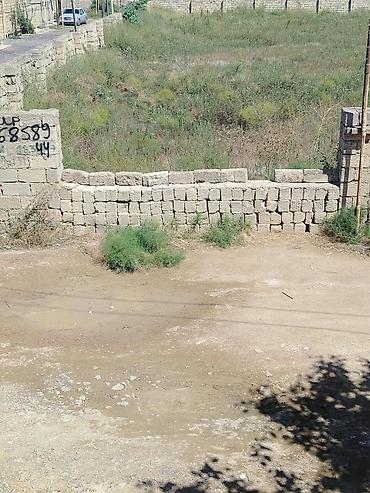 mastaga emlak: Tikinti — 5