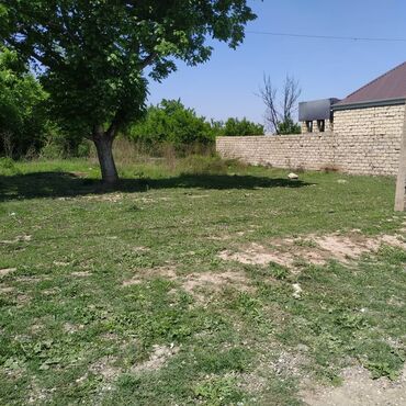 xacmaz torpaq sahesi satilir: 5 sot