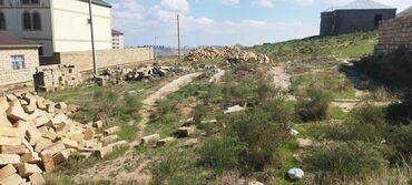 Torpaq sahələrinin satışı: 4 sot, Kənd təsərrüfatı, Mülkiyyətçi, Bələdiyyə