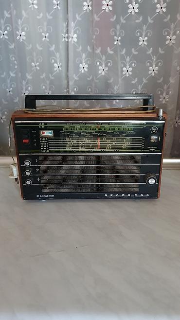 radiolar: Islek,seliqeli — 1