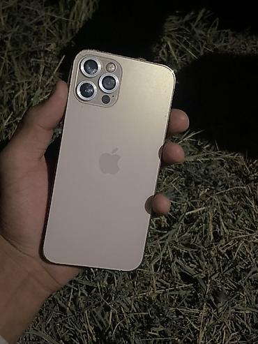 принтер цветной 3 в 1: IPhone 12 Pro, модель MGMP3KN/A (согласно скриншоту “Об этом — 2