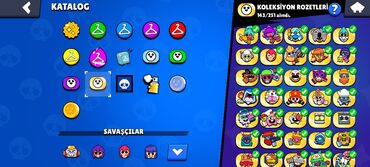 Digər: Digər — 6