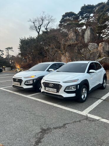 hyundai sonata 1997: Hyundai Kona: 2019 г., 1.6 л, Автомат, Дизель, Кроссовер