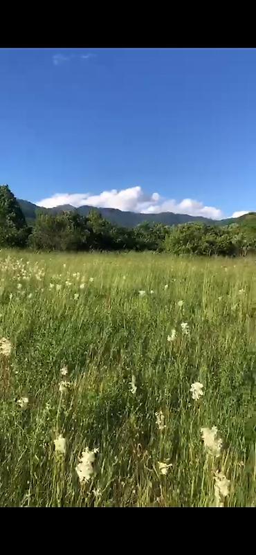 qalada torpaq: 52 sot, Kənd təsərrüfatı, Mülkiyyətçi, Kupça (Çıxarış) — 6