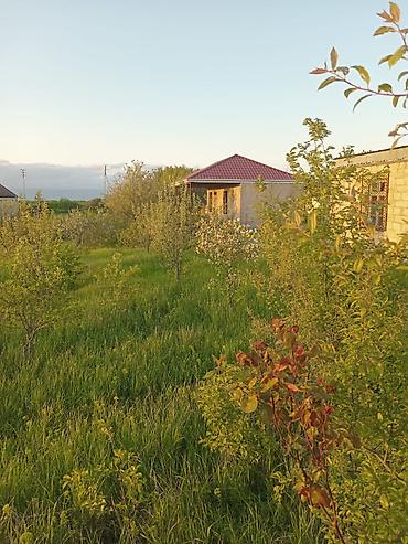 şağan torpaq: 6 sot, Tikinti, Mülkiyyətçi, Kupça (Çıxarış) — 5