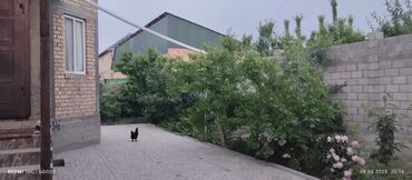 Продажа домов: Дом, 180 м², 5 комнат, Собственник, Евроремонт at lalafo.kg — 8 Продажа домов: Дом, 180 м², 5 комнат, Собственник, Евроремонт — 8