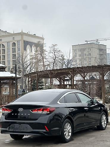 Hyundai: Hyundai Sonata: 2020 г., 2 л, Автомат, Газ, Седан — 7