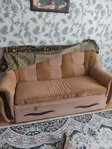 Otaq bitkiləri: Divan, İşlənmiş
