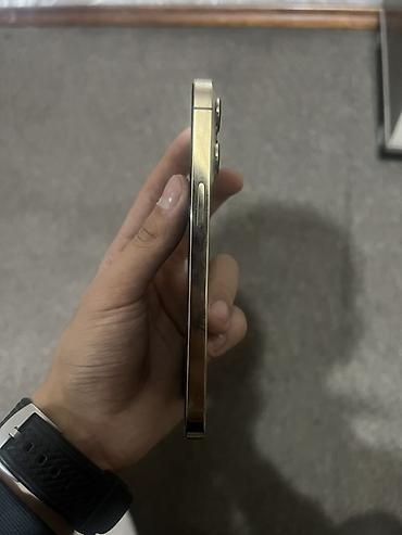 15 pro iphone: 2 IPhone 13 Pro, 128 ГБ, оба цвета Gold - Экран 6.1" OLED Super — 6