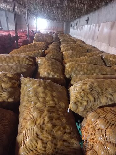 Картошка: Картошка Пикассо — 9