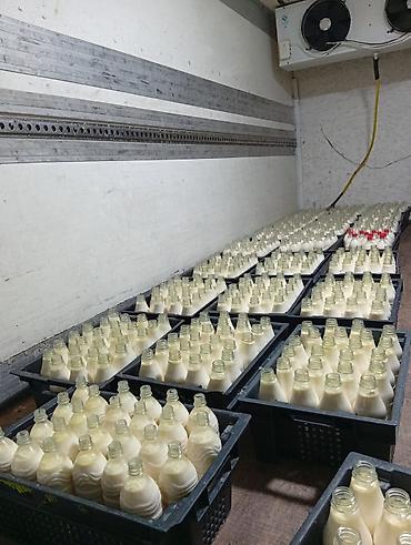 чон арыке: Айран оптом по выгодным ценам чисто домашнее очень густой жирный айран — 2
