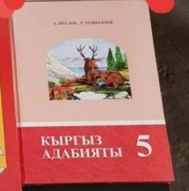 Книга Кыргыз адабияты 5 класс цена 150 сом