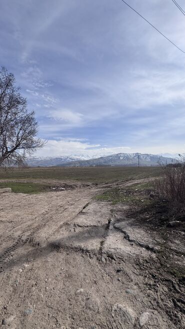 Продажа участков: 385 соток, Для сельского хозяйства, Договор дарения — 4