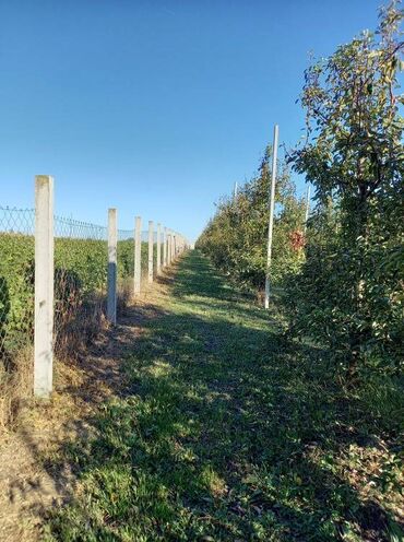 Prodaja zemljišta: Poljoprivredno zemljište — 4