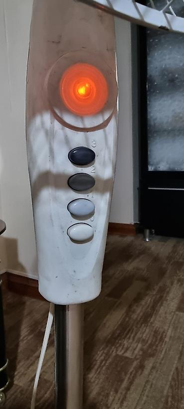 Детские ходунки: Декор Много всего разного от книг до комнатных растений Посуда бутыль — 7