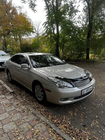 Lexus: Lexus ES: 2004 г., 3.3 л, Автомат, Бензин, Седан