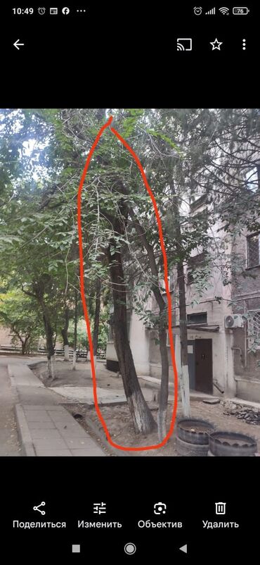 Спил деревьев, заготовка дров: Пилю деревья цена индивидуально! Пилю дровабревна 1500 - с/куб — 10