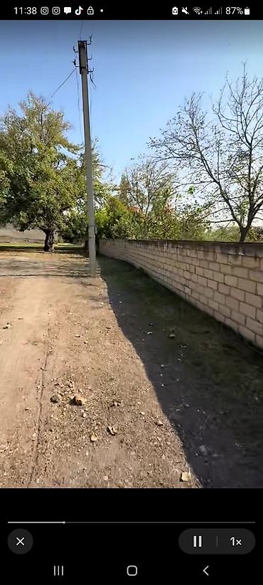 Həyət evləri və villaların satışı: Bərdə rayon muganli kendi [ 47 SOT HƏYƏTYANI SAHƏ ] — 16